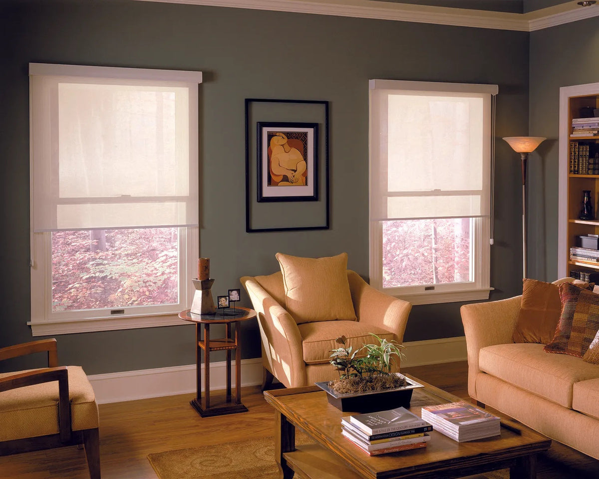 White light filtering roller shades partly lowered over two living room windows